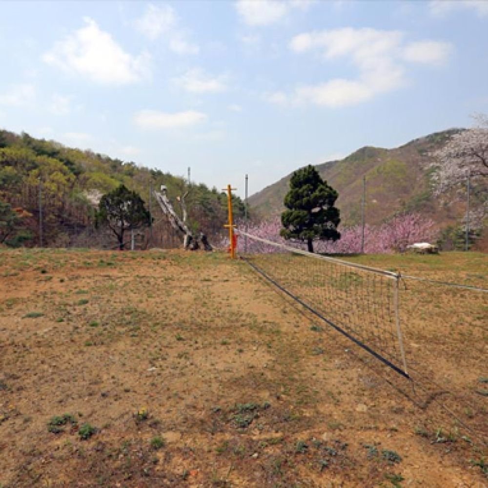 족구장